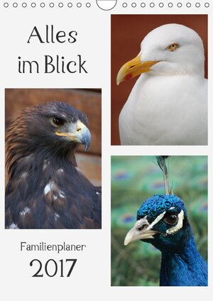 Buchcover Alles im Blick (Wandkalender 2017 DIN A4 hoch) | Claudia Lampert | EAN 9783665002404 | ISBN 3-665-00240-0 | ISBN 978-3-665-00240-4