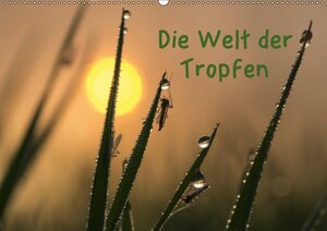 Buchcover Die Welt der Tropfen / CH-Version (Wandkalender 2017 DIN A2 quer) | Andrea Potratz | EAN 9783665081294 | ISBN 3-665-08129-7 | ISBN 978-3-665-08129-4