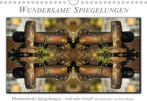 Buchcover Wundersame Spiegelungen (Wandkalender 2017 DIN A4 quer) | Peter Roder | EAN 9783665256432 | ISBN 3-665-25643-7 | ISBN 978-3-665-25643-2