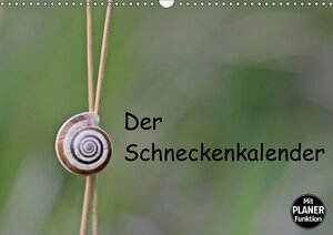 Buchcover Der Schneckenkalender (Wandkalender 2017 DIN A3 quer) | Christine Schmutzler-Schaub | EAN 9783665384104 | ISBN 3-665-38410-9 | ISBN 978-3-665-38410-4