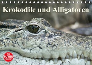 Buchcover Krokodile und Alligatoren (Tischkalender 2017 DIN A5 quer) | Elisabeth Stanzer | EAN 9783665402259 | ISBN 3-665-40225-5 | ISBN 978-3-665-40225-9