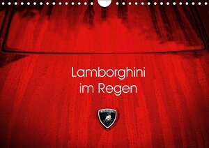 Buchcover Lamborghini im Regen (Wandkalender 2017 DIN A4 quer) | Petra Sagnak | EAN 9783665403256 | ISBN 3-665-40325-1 | ISBN 978-3-665-40325-6