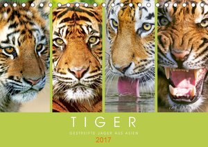 Buchcover Tiger: Gestreifte Jäger aus Asien (Tischkalender 2017 DIN A5 quer) | k.A. CALVENDO | EAN 9783665454630 | ISBN 3-665-45463-8 | ISBN 978-3-665-45463-0