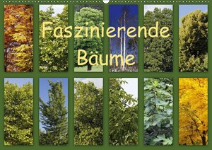 Buchcover Faszinierende Bäume (Wandkalender 2017 DIN A2 quer) | Anette/Thomas Jäger | EAN 9783665476243 | ISBN 3-665-47624-0 | ISBN 978-3-665-47624-3