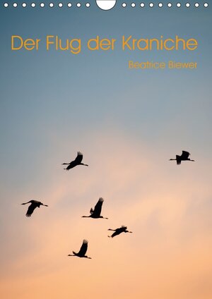 Buchcover Der Flug der Kraniche (Wandkalender 2017 DIN A4 hoch) | Beatrice Biewer | EAN 9783665569808 | ISBN 3-665-56980-X | ISBN 978-3-665-56980-8