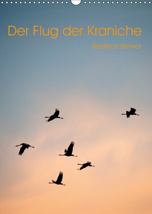 Buchcover Der Flug der Kraniche (Wandkalender 2017 DIN A3 hoch) | Beatrice Biewer | EAN 9783665569815 | ISBN 3-665-56981-8 | ISBN 978-3-665-56981-5