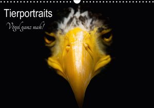 Buchcover Tierportraits - Vögel ganz nah (Wandkalender 2017 DIN A3 quer) | Alexander Honold | EAN 9783665578275 | ISBN 3-665-57827-2 | ISBN 978-3-665-57827-5