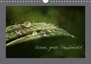 Buchcover Kleine, große Tropfenwelt (Wandkalender 2018 DIN A4 quer) | Heike Hultsch | EAN 9783665597344 | ISBN 3-665-59734-X | ISBN 978-3-665-59734-4