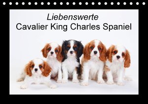 Buchcover Liebenswerte Cavalier King Charles Spaniel (Tischkalender 2018 DIN A5 quer) | Petra Wegner | EAN 9783665840228 | ISBN 3-665-84022-8 | ISBN 978-3-665-84022-8