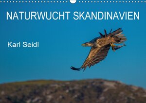 Buchcover Naturwucht Skandinavien (Wandkalender 2018 DIN A3 quer) | Karl Seidl | EAN 9783665872939 | ISBN 3-665-87293-6 | ISBN 978-3-665-87293-9