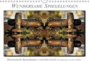 Buchcover Wundersame Spiegelungen (Wandkalender 2018 DIN A4 quer) | Peter Roder | EAN 9783665963736 | ISBN 3-665-96373-7 | ISBN 978-3-665-96373-6