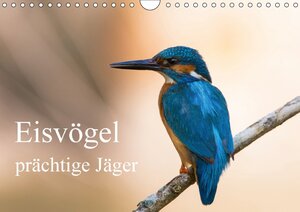 Buchcover Eisvögel - prächtige Jäger (Wandkalender 2018 DIN A4 quer) | Thomas Alberer | EAN 9783665999209 | ISBN 3-665-99920-0 | ISBN 978-3-665-99920-9