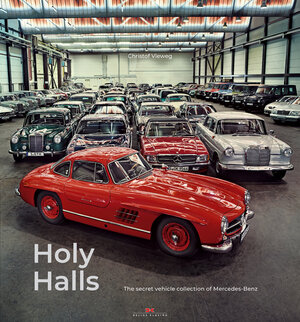 Buchcover Holy Halls | Christof Vieweg | EAN 9783667116673 | ISBN 3-667-11667-5 | ISBN 978-3-667-11667-3