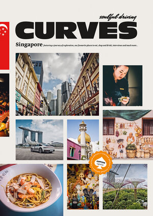 Buchcover CURVES Singapore | Stefan Bogner | EAN 9783667130365 | ISBN 3-667-13036-8 | ISBN 978-3-667-13036-5