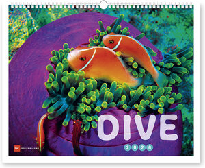 Buchcover Dive 2026  | EAN 9783667130846 | ISBN 3-667-13084-8 | ISBN 978-3-667-13084-6