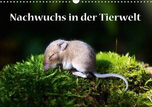 Buchcover Nachwuchs in der Tierwelt (Wandkalender 2018 DIN A3 quer) | GUGIGEI | EAN 9783669010597 | ISBN 3-669-01059-9 | ISBN 978-3-669-01059-7