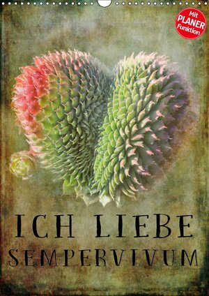 Buchcover Ich liebe Sempervivum (Wandkalender 2018 DIN A3 hoch) | Martina Cross | EAN 9783669097055 | ISBN 3-669-09705-8 | ISBN 978-3-669-09705-5