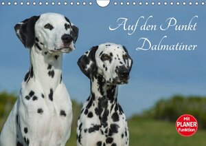 Buchcover Auf den Punkt - Dalmatiner (Wandkalender 2018 DIN A4 quer) | Sigrid Starick | EAN 9783669098335 | ISBN 3-669-09833-X | ISBN 978-3-669-09833-5