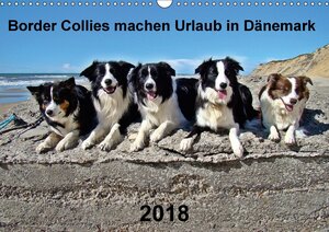Buchcover Border Collies machen Urlaub in Dänemark (Wandkalender 2018 DIN A3 quer) | Eva Busch | EAN 9783669102940 | ISBN 3-669-10294-9 | ISBN 978-3-669-10294-0