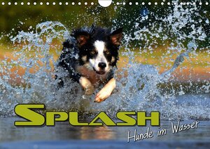 Buchcover SPLASH - Hunde im Wasser (Wandkalender 2018 DIN A4 quer) | Renate Bleicher | EAN 9783669163613 | ISBN 3-669-16361-1 | ISBN 978-3-669-16361-3