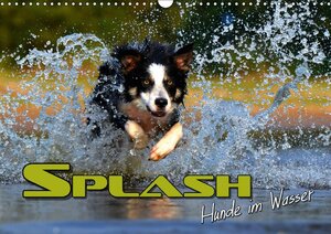 Buchcover SPLASH - Hunde im Wasser (Wandkalender 2018 DIN A3 quer) | Renate Bleicher | EAN 9783669163620 | ISBN 3-669-16362-X | ISBN 978-3-669-16362-0
