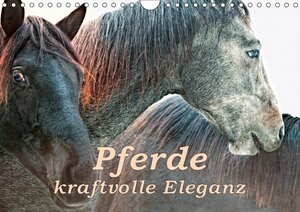 Buchcover Pferde - kraftvolle Eleganz (Wandkalender 2018 DIN A4 quer) | Liselotte Brunner-Klaus | EAN 9783669190114 | ISBN 3-669-19011-2 | ISBN 978-3-669-19011-4