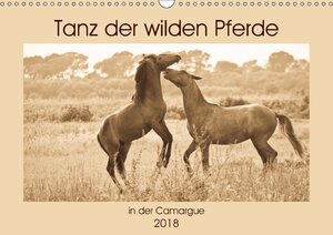 Buchcover Tanz der wilden Pferde in der Camargue (Wandkalender 2018 DIN A3 quer) | Meike Bölts | EAN 9783669219778 | ISBN 3-669-21977-3 | ISBN 978-3-669-21977-8
