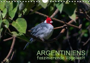Buchcover Argentiniens faszinierende Vogelwelt (Wandkalender 2018 DIN A4 quer) | Bernd Zillich | EAN 9783669259668 | ISBN 3-669-25966-X | ISBN 978-3-669-25966-8