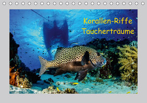 Buchcover Korallen-Riffe Taucherträume (Tischkalender 2018 DIN A5 quer) | Sascha Caballero | EAN 9783669407083 | ISBN 3-669-40708-1 | ISBN 978-3-669-40708-3