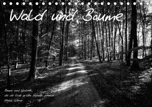 Buchcover Wald und Bäume (Tischkalender 2019 DIN A5 quer) | Heiko Kapeller | EAN 9783669528733 | ISBN 3-669-52873-3 | ISBN 978-3-669-52873-3