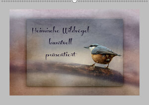 Buchcover Heimische Wildvögel kunstvoll präsentiert (Wandkalender 2019 DIN A2 quer) | Heike Hultsch | EAN 9783669558945 | ISBN 3-669-55894-2 | ISBN 978-3-669-55894-5