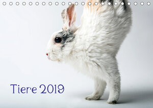 Buchcover Tiere 2019 (Tischkalender 2019 DIN A5 quer) | Wolfgang Zwanzger | EAN 9783669572040 | ISBN 3-669-57204-X | ISBN 978-3-669-57204-0