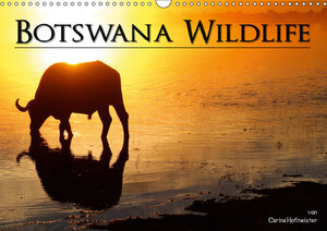 Buchcover Botswana Wildlife (Wandkalender 2019 DIN A3 quer) | Carina Hofmeister | EAN 9783669584449 | ISBN 3-669-58444-7 | ISBN 978-3-669-58444-9