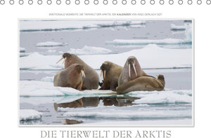 Buchcover Emotionale Momente: Die Tierwelt der Arktis / CH-Version (Tischkalender 2019 DIN A5 quer) | Ingo Gerlach GDT | EAN 9783669625371 | ISBN 3-669-62537-2 | ISBN 978-3-669-62537-1