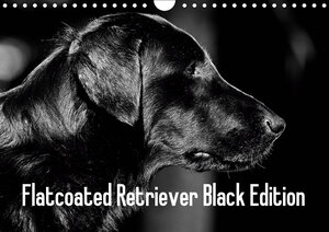Buchcover Flatcoated Retriever Black Edition (Wandkalender 2019 DIN A4 quer) | Beatrice Müller | EAN 9783669787093 | ISBN 3-669-78709-7 | ISBN 978-3-669-78709-3