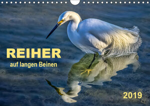 Buchcover Reiher - auf langen Beinen (Wandkalender 2019 DIN A4 quer) | Peter Roder | EAN 9783669809900 | ISBN 3-669-80990-2 | ISBN 978-3-669-80990-0