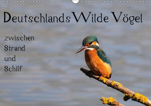 Buchcover Deutschlands wilde Vögel zwischen Strand und Schilf (Wandkalender 2019 DIN A3 quer) | Marvin Lebeus | EAN 9783669859363 | ISBN 3-669-85936-5 | ISBN 978-3-669-85936-3