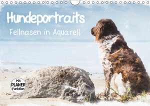 Buchcover Hundeportraits - Fellnasen in Aquarell (Wandkalender 2019 DIN A4 quer) | Sonja Teßen | EAN 9783669868624 | ISBN 3-669-86862-3 | ISBN 978-3-669-86862-4