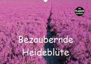 Buchcover Bezaubernde Heideblüte (Wandkalender 2019 DIN A3 quer) | Bo Valentino | EAN 9783669868952 | ISBN 3-669-86895-X | ISBN 978-3-669-86895-2