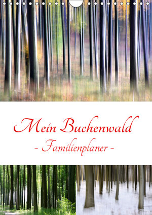 Buchcover Mein Buchenwald - Familienplaner (Wandkalender 2019 DIN A4 hoch) | Klaus Eppele | EAN 9783669879552 | ISBN 3-669-87955-2 | ISBN 978-3-669-87955-2