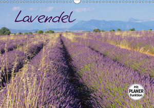 Buchcover Lavendel (Wandkalender 2019 DIN A3 quer) | LianeM | EAN 9783669889674 | ISBN 3-669-88967-1 | ISBN 978-3-669-88967-4