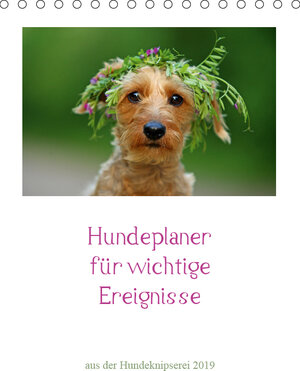 Buchcover Hundeplaner für wichtige Ereignisse (Tischkalender 2019 DIN A5 hoch) | Kathrin Köntopp | EAN 9783669906401 | ISBN 3-669-90640-1 | ISBN 978-3-669-90640-1