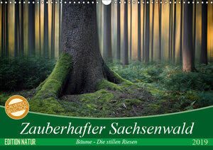 Buchcover Zauberhafter Sachsenwald (Wandkalender 2019 DIN A3 quer) | Carsten Meyerdierks | EAN 9783669938440 | ISBN 3-669-93844-3 | ISBN 978-3-669-93844-0