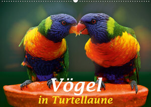 Buchcover Vögel in Turtellaune (Wandkalender 2019 DIN A2 quer) | Liselotte Brunner-Klaus | EAN 9783669979825 | ISBN 3-669-97982-4 | ISBN 978-3-669-97982-5