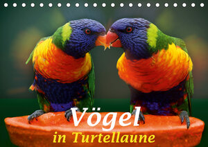 Buchcover Vögel in Turtellaune (Tischkalender 2019 DIN A5 quer) | Liselotte Brunner-Klaus | EAN 9783669979832 | ISBN 3-669-97983-2 | ISBN 978-3-669-97983-2