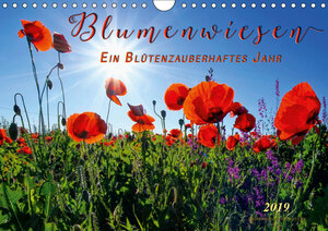 Buchcover Blumenwiesen – ein blütenzauberhaftes Jahr (Wandkalender 2019 DIN A4 quer) | Peter Roder | EAN 9783669984836 | ISBN 3-669-98483-6 | ISBN 978-3-669-98483-6