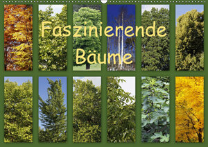 Buchcover Faszinierende Bäume (Wandkalender 2019 DIN A2 quer) | Anette/Thomas Jäger | EAN 9783670016359 | ISBN 3-670-01635-X | ISBN 978-3-670-01635-9