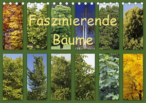 Buchcover Faszinierende Bäume (Tischkalender 2019 DIN A5 quer) | Anette/Thomas Jäger | EAN 9783670016366 | ISBN 3-670-01636-8 | ISBN 978-3-670-01636-6