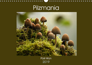 Buchcover Pilzmania (Wandkalender 2019 DIN A3 quer) | Pörli Won | EAN 9783670067542 | ISBN 3-670-06754-X | ISBN 978-3-670-06754-2