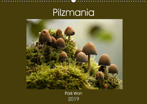 Buchcover Pilzmania (Wandkalender 2019 DIN A2 quer) | Pörli Won | EAN 9783670067559 | ISBN 3-670-06755-8 | ISBN 978-3-670-06755-9
